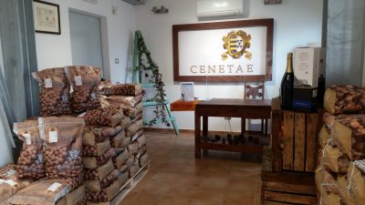 punto_vendita_motta_livenza_2